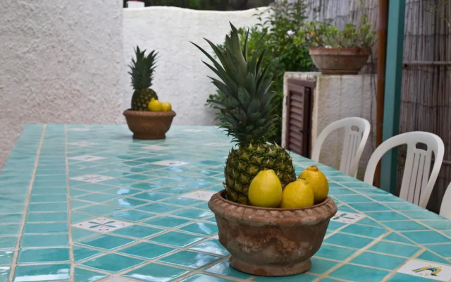 Jungle House - Pineta Is Morus