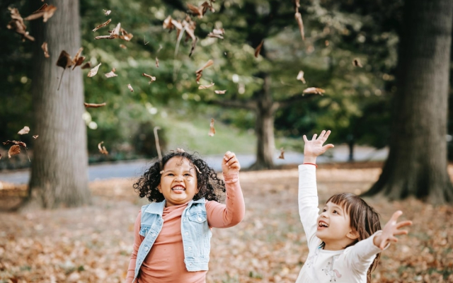 Treeloft Adventure in Nature for 4 People 10