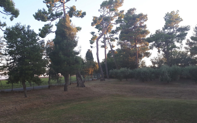 B&B I Pini Di Storaco