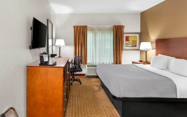 Comfort Inn New Buffalo
