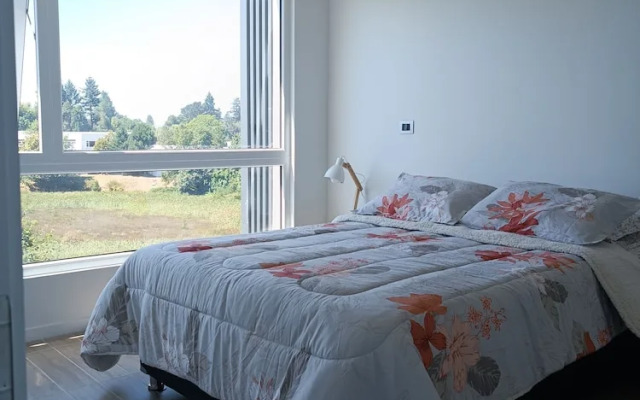 Departamento céntrico Isla teja 19