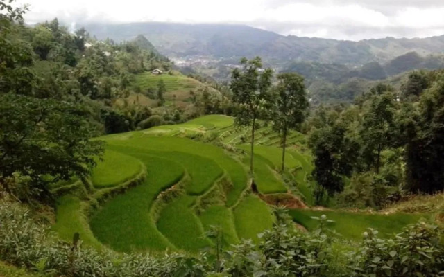 Ngan Nga Bac Ha Hotel