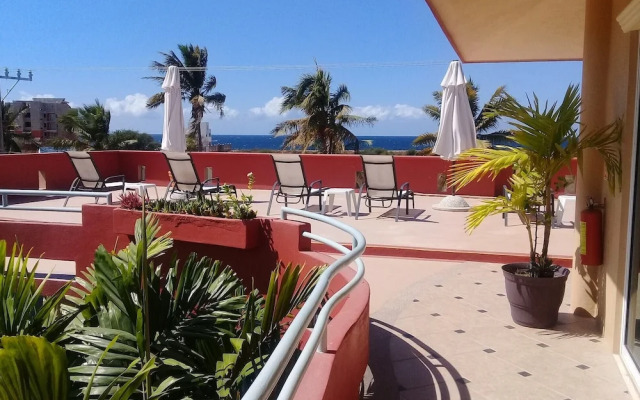 Casa Misifus