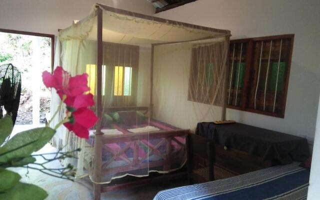 The Jungle House