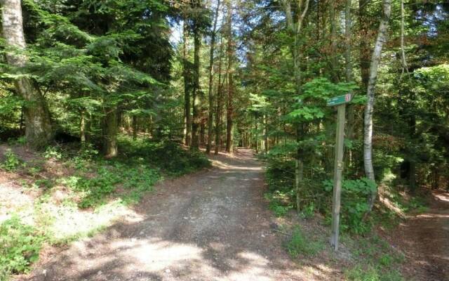 Residenz Oberfrauenwald