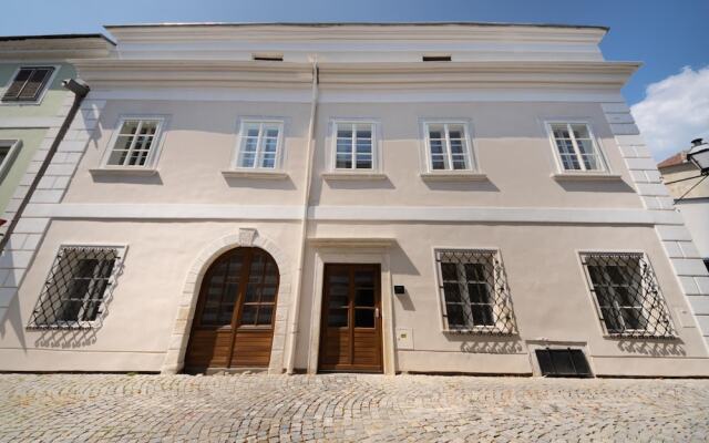 Deluxe Studio Art Collection With King Bed View and Air Conditioning in the old Town at the Danub