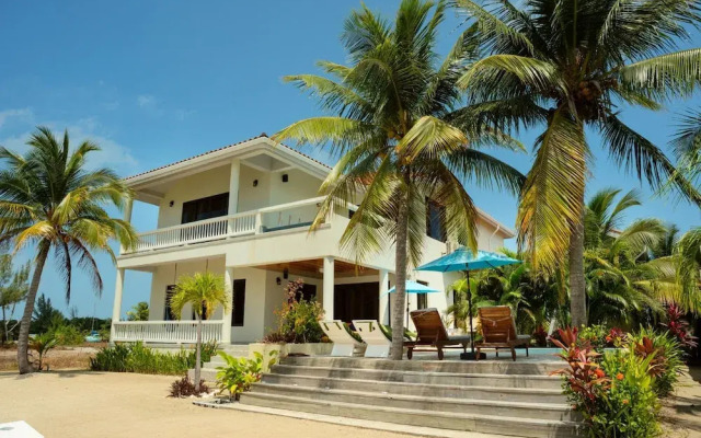 Villa Island Time Gecko