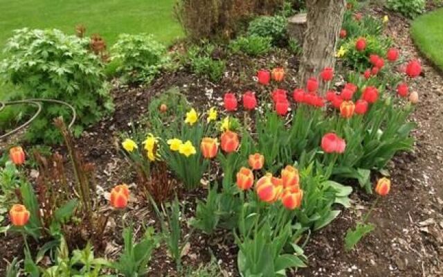 Windermere Lakeside B&B