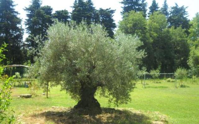 Appartement Dans Mas Provencal