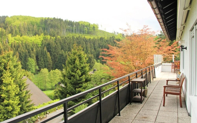 Mesmerizing Villa in Willingen Germany with Private Garden