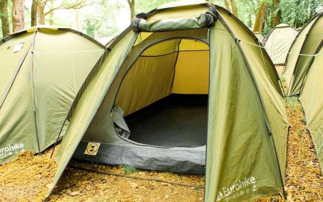 Oktoberfest On A Budget Camping