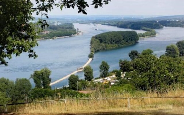 Weingut Magdalenenhof