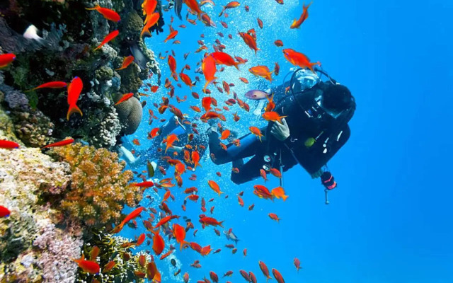 Super Studio en résidence face à la plage