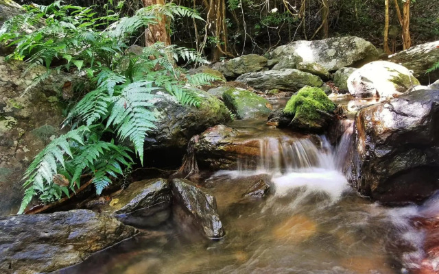 Stoney Creek Cottage