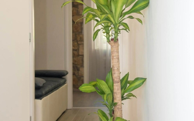 Luxury apartments Petrovac