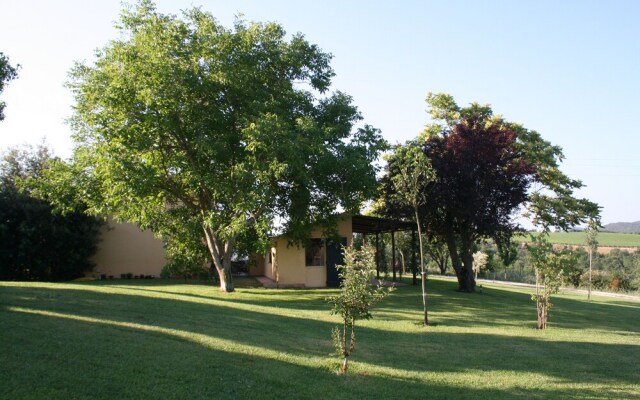 The House With Terrace