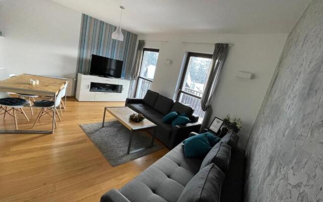 Panorama Gór ozonowany Apartament 10