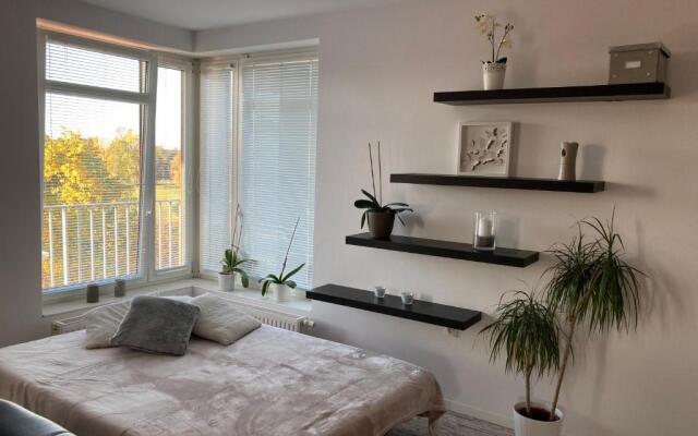 Apartment Husova