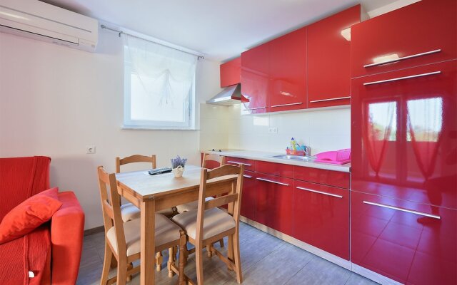 Apartment 1964