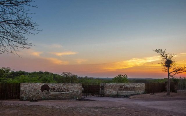 Mopane Bush Lodge