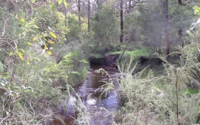 Woody Grange Chalets