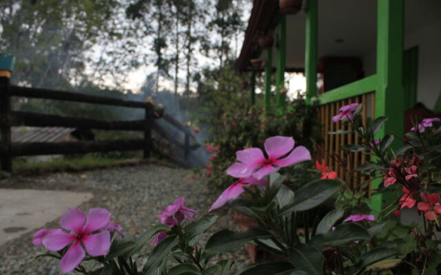 Hostal Girasoles