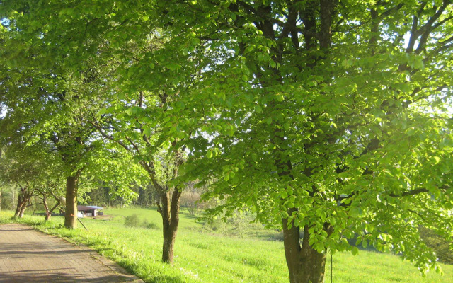Apartment in Kirchhundem in the Middle of Nature