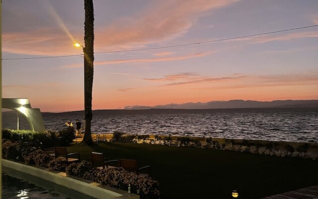 Atoq Paracas Reserva