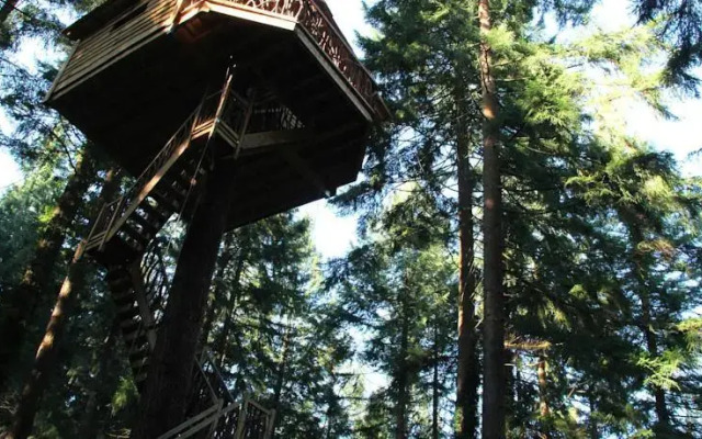 Cabañas en los Árboles