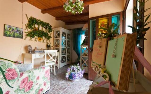 Fiori E Coccole
