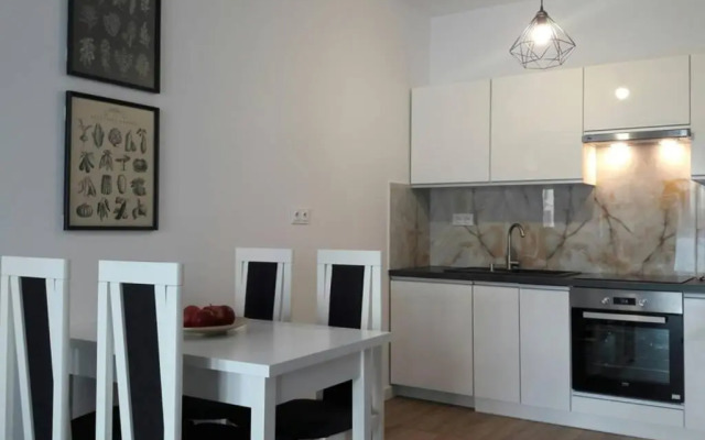 Lux Apartment close to Medicover and Paley