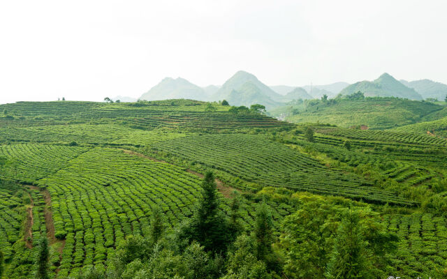 Muong Thanh Lai Chau Hotel