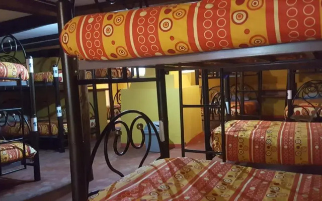 Altai Oasis Eco lodge