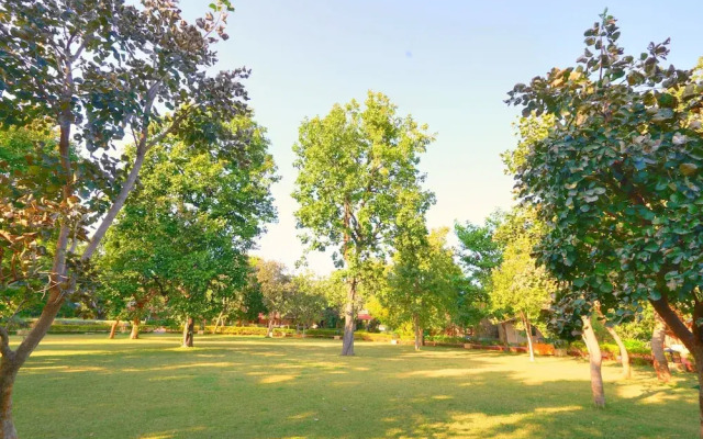 Bundela Bandhavgarh by Octave