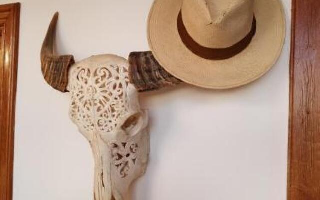 Ziggy's Mountain Retreat