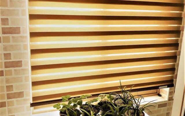 Work Life Balance Guesthouse Busan Station - Hostel