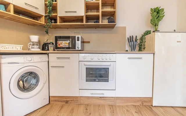 Luxury Flat with Access to Danube