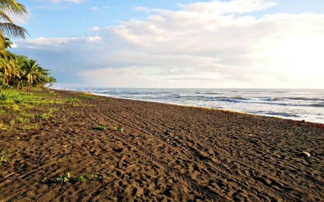 Casa Turtle Bogue - Hostel