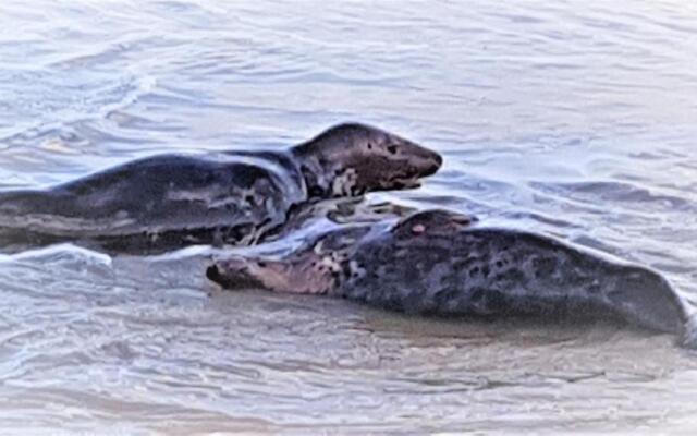 Caister Beach Haven Holiday Home