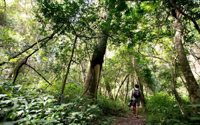 Royal Thonga Safari Lodge