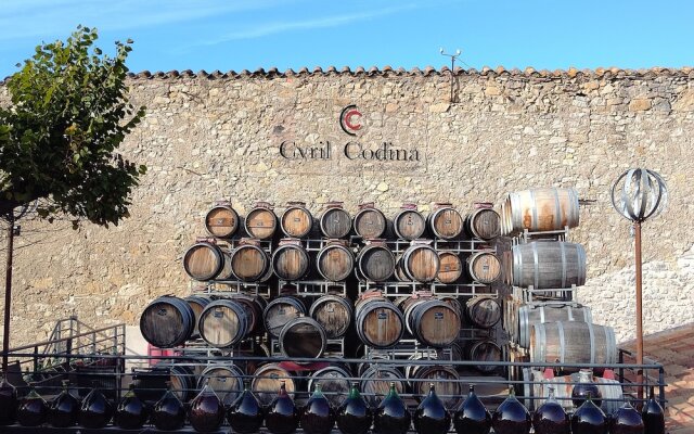 Gîte et Chambres d'hôtes  Le Coq du Nord - Mailhac