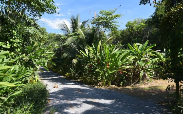 Baan Suan Farmstay