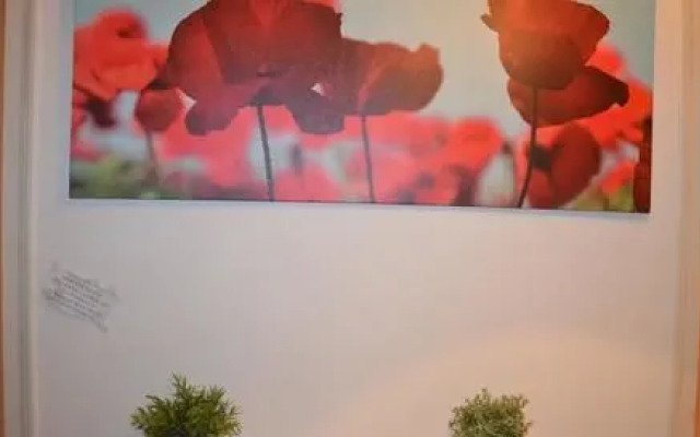 Women Bed - Hostel (только для взрослых)