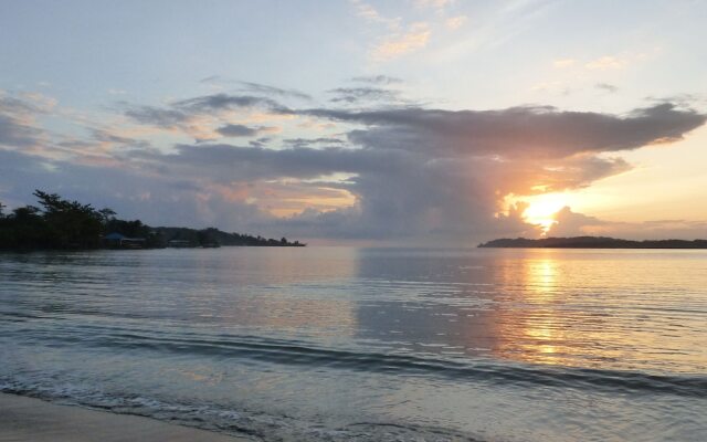 Sand Dollar Beach Bed & Breakfast
