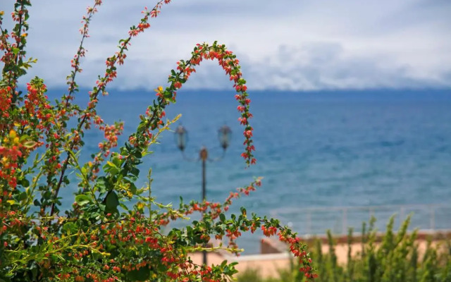 Azure Sport Resort