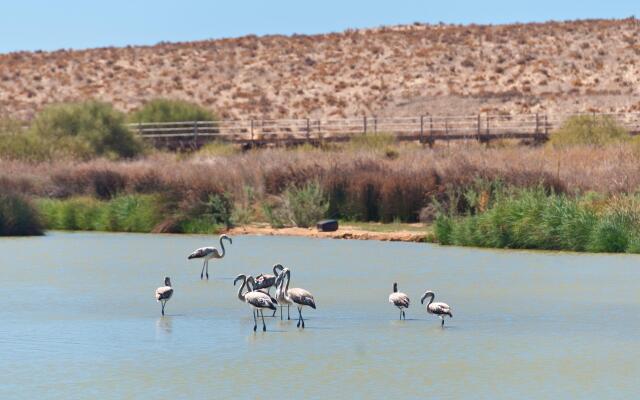 Villas Barrocal