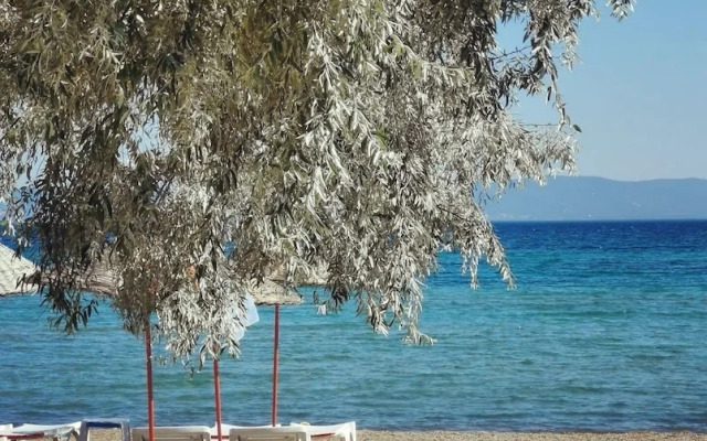Holifera Hotel