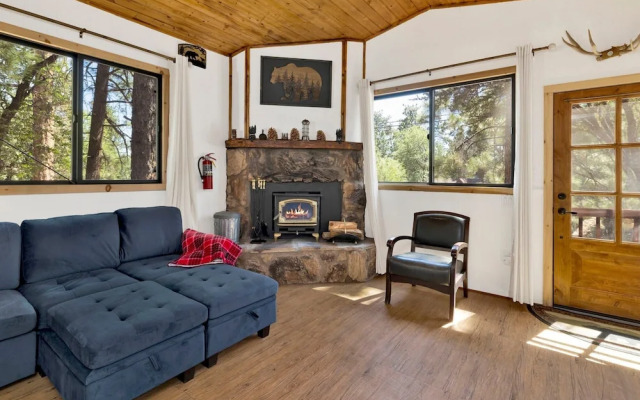 Bear Forest Cabin #2553