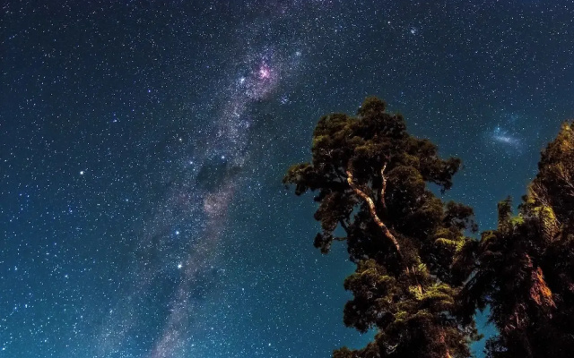 Wilderness Lodge Lake Moeraki