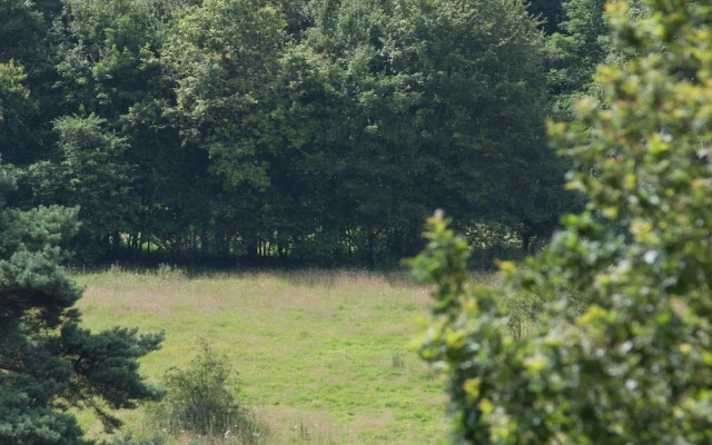 Wooden Holiday Home with Microwave near Brunssummerheide